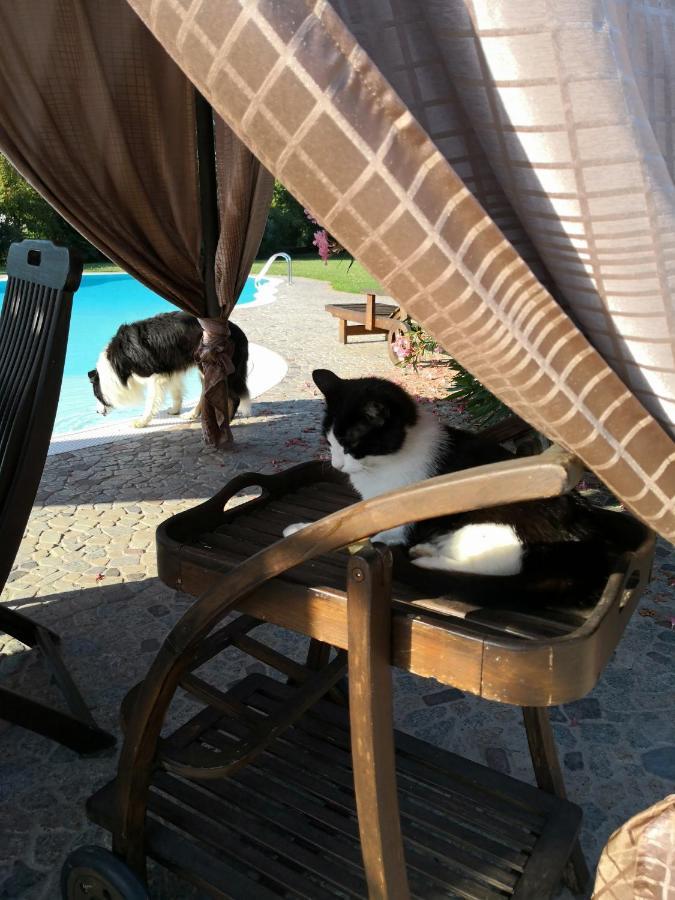 B&B Il Martin Pescatore Bagnolo San Vito Kültér fotó